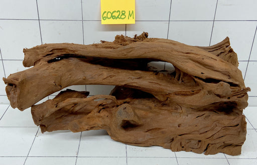 60628M - Mangrovenwurzel Holz