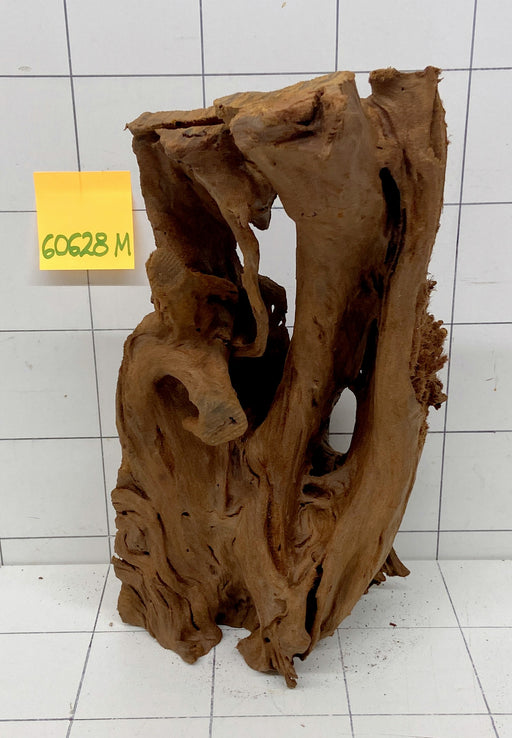 60628M - Mangrovenwurzel Holz