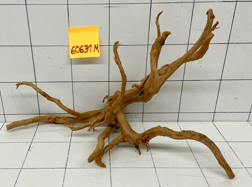 60631R Fingerwood / Rote Moorwurzel Holz