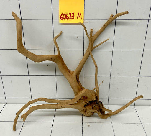 60633R Fingerwood / Rote Moorwurzel Holz