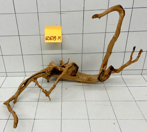 60635R Fingerwood / Rote Moorwurzel Holz