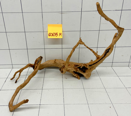 60635R Fingerwood / Rote Moorwurzel Holz