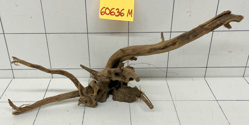 60636R Fingerwood / Rote Moorwurzel Holz