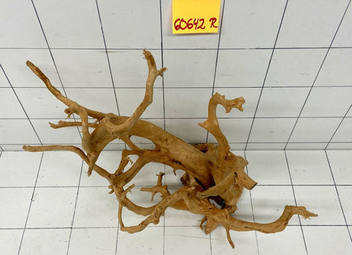 60642R Fingerwood / Rote Moorwurzel Holz