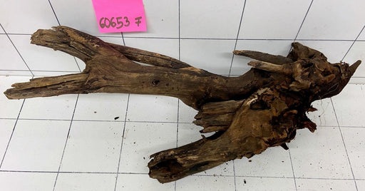 60653F Flussholz / Driftwood / Flusswurzel
