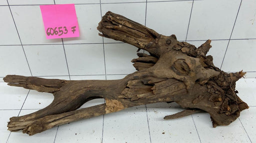 60653F Flussholz / Driftwood / Flusswurzel