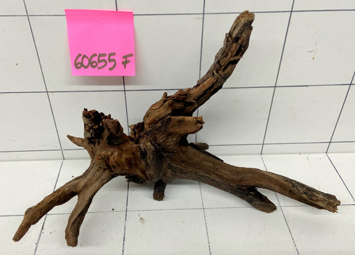 60655F Flussholz / Driftwood / Flusswurzel