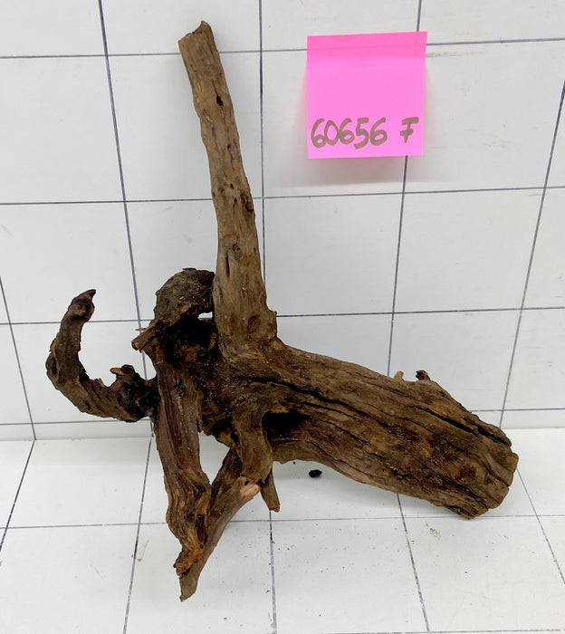 60656F Flussholz / Driftwood / Flusswurzel