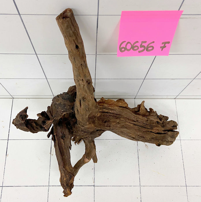 60656F Flussholz / Driftwood / Flusswurzel