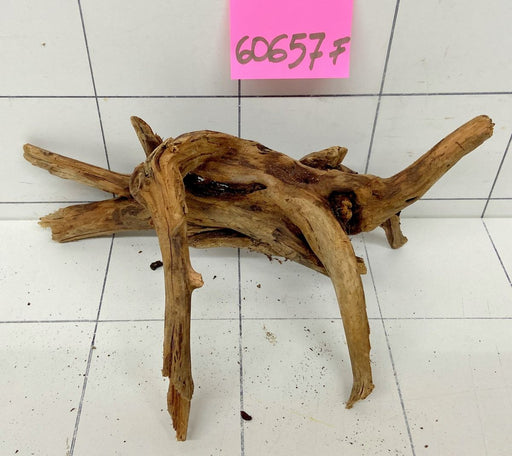 60657F Flussholz / Driftwood / Flusswurzel