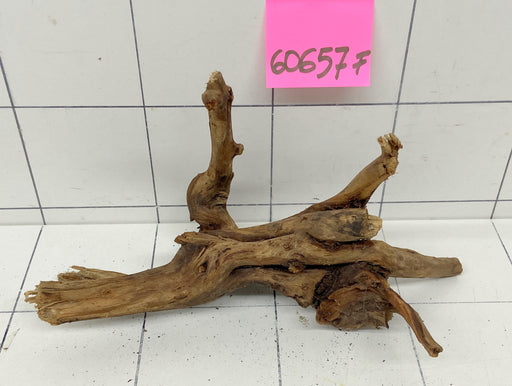 60657F Flussholz / Driftwood / Flusswurzel