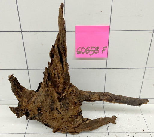 60658F Flussholz / Driftwood / Flusswurzel