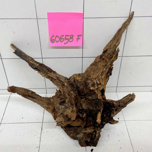 60658F Flussholz / Driftwood / Flusswurzel