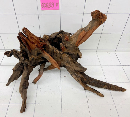 60659F Flussholz / Driftwood / Flusswurzel