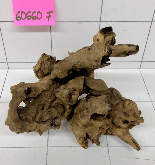 60660F Flussholz / Driftwood / Flusswurzel