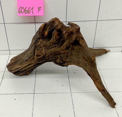 60661F Flussholz / Driftwood / Flusswurzel