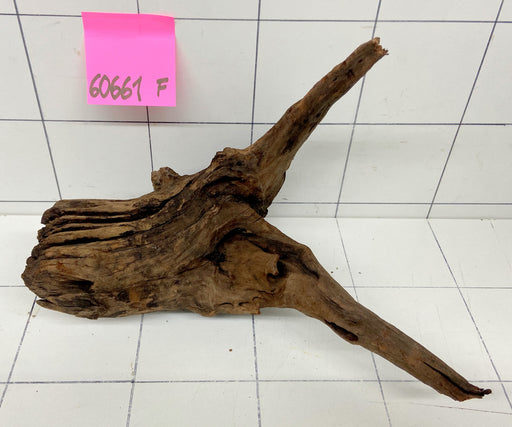 60661F Flussholz / Driftwood / Flusswurzel