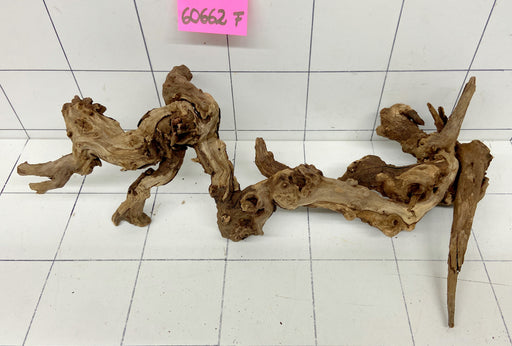 60662F Flussholz / Driftwood / Flusswurzel