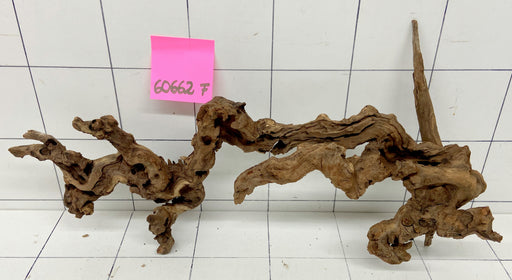 60662F Flussholz / Driftwood / Flusswurzel