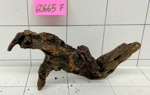 60665F Flussholz / Driftwood / Flusswurzel