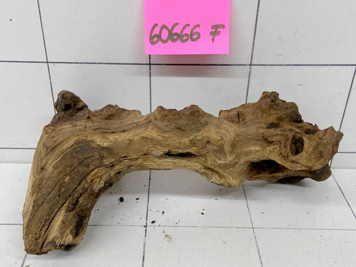 60666F Flussholz / Driftwood / Flusswurzel