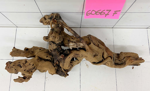 60667F Flussholz / Driftwood / Flusswurzel