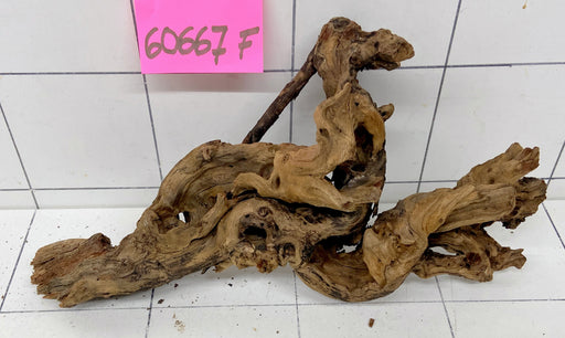 60667F Flussholz / Driftwood / Flusswurzel