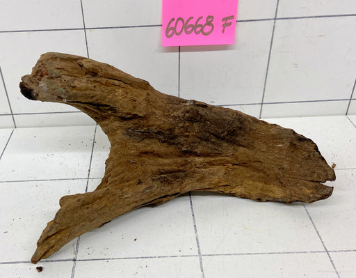 60668F Flussholz / Driftwood / Flusswurzel