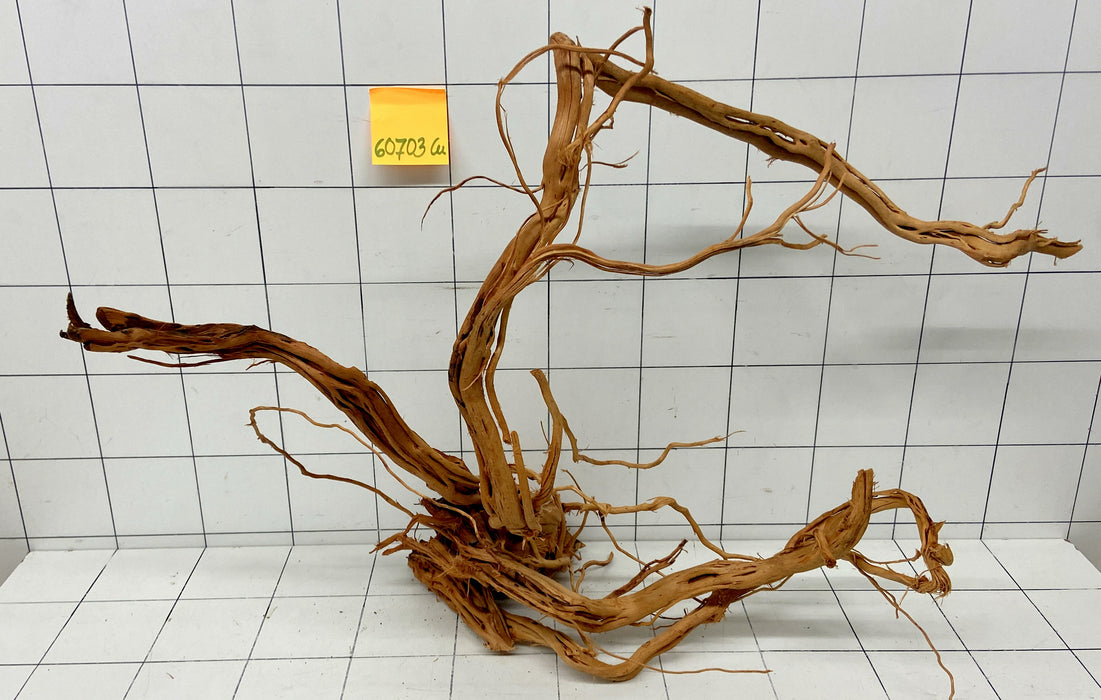 60703Cu - Curlwood Wurzel Holz