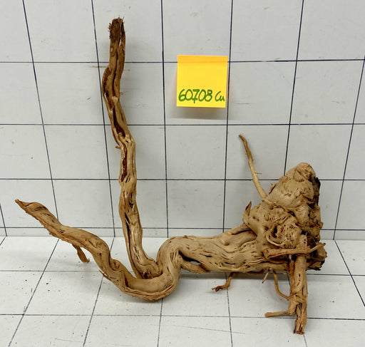 60708Cu - Curlwood Wurzel Holz