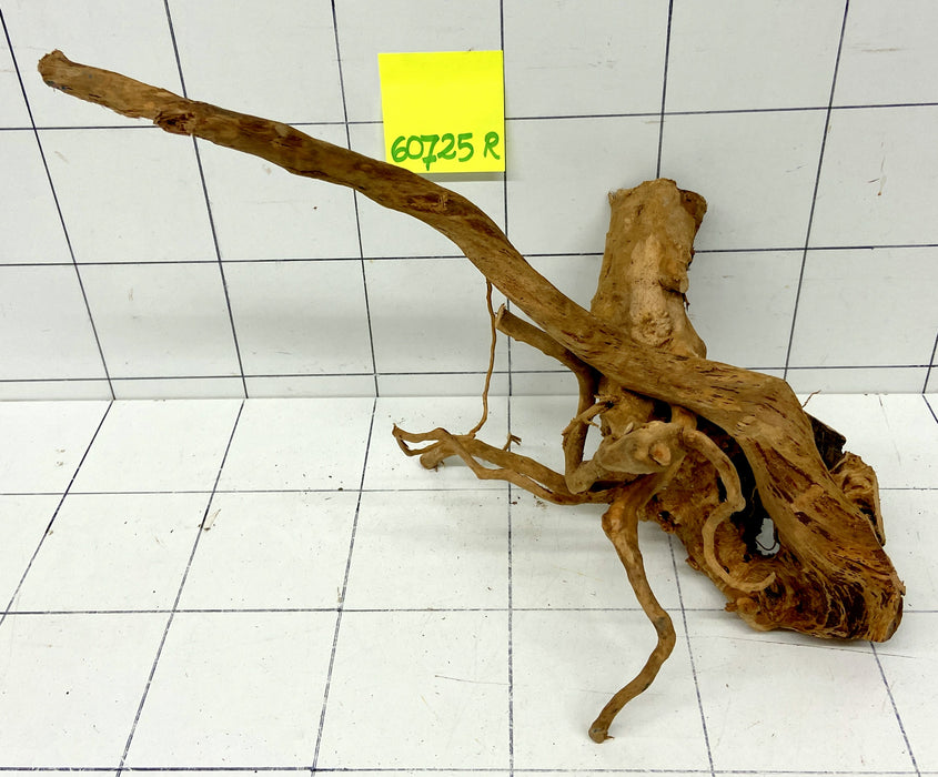 60725R Fingerwood / Rote Moorwurzel Holz