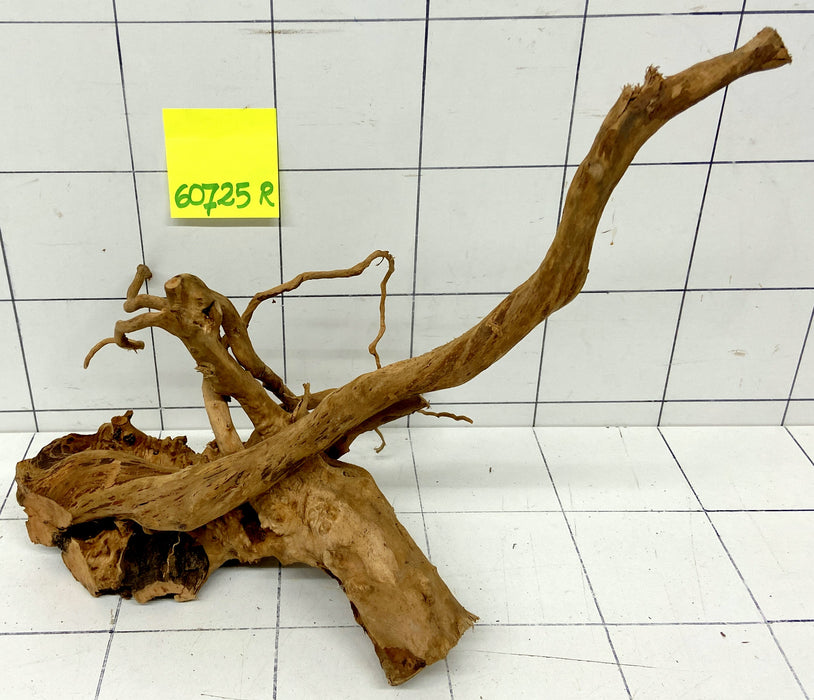 60725R Fingerwood / Rote Moorwurzel Holz