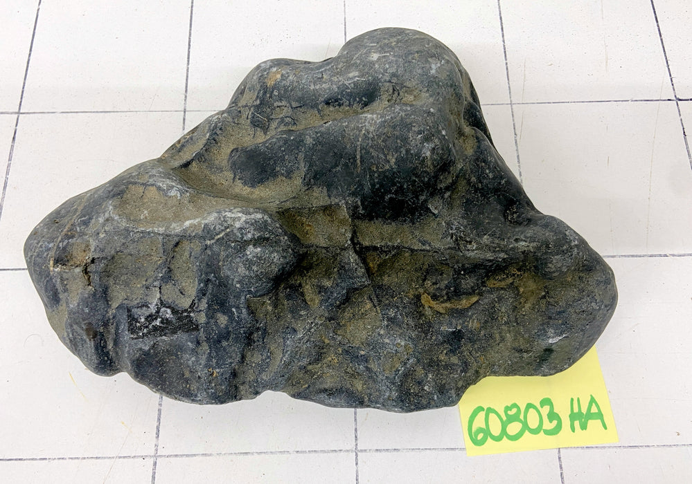 60803HA Hakkai Stone Flussstein