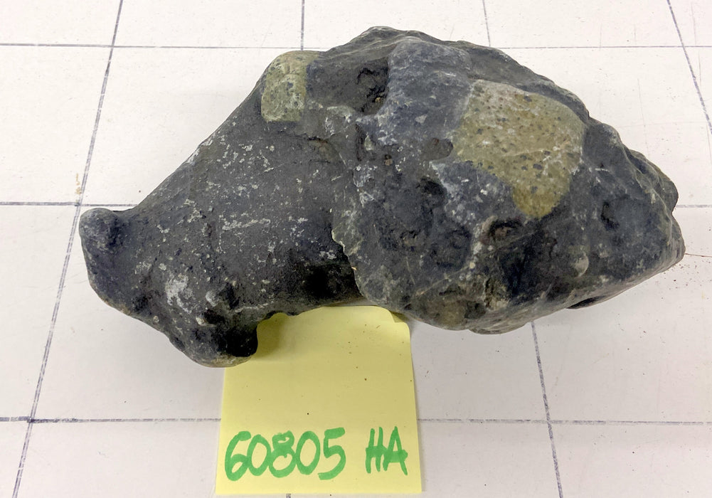 60805HA Hakkai Stone Flussstein