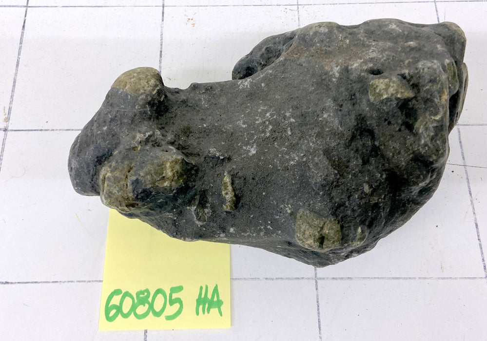 60805HA Hakkai Stone Flussstein