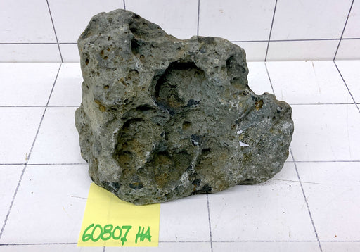 60807HA Hakkai Stone Flussstein