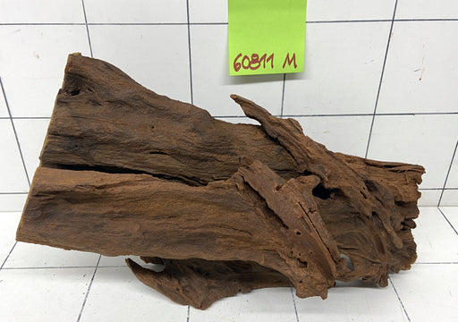 60811M - Mangrovenwurzel Holz
