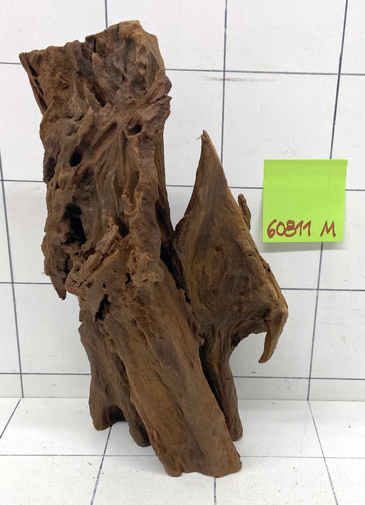 60811M - Mangrovenwurzel Holz