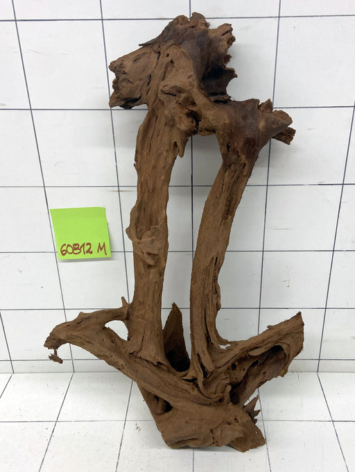 60812M - Mangrovenwurzel Holz