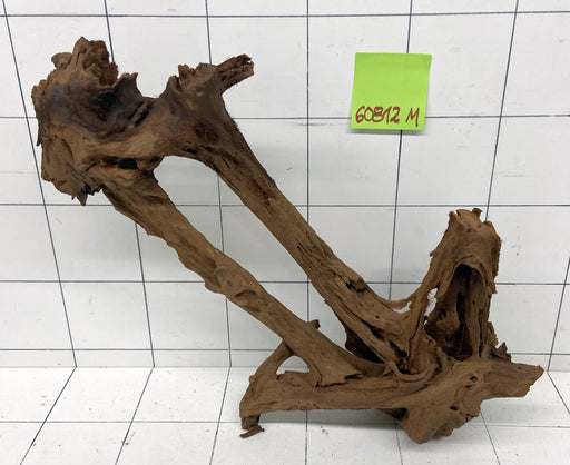 60812M - Mangrovenwurzel Holz