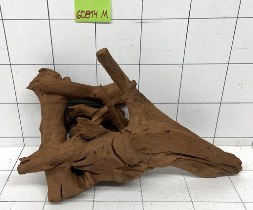 60814M - Mangrovenwurzel Holz