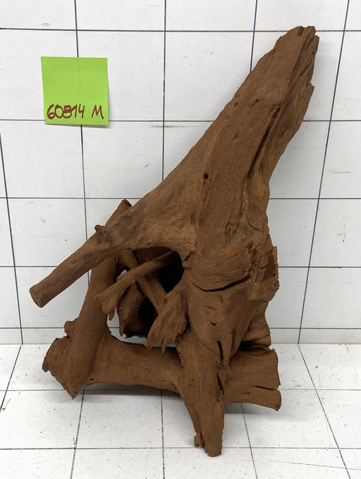 60814M - Mangrovenwurzel Holz