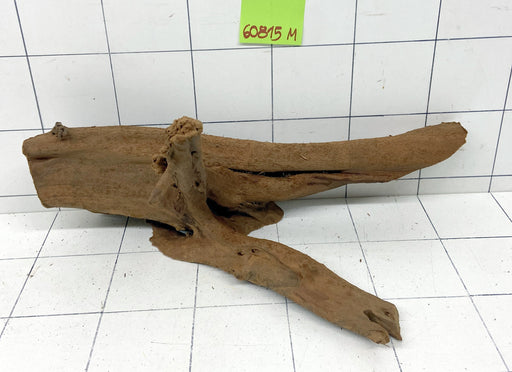 60815M - Mangrovenwurzel Holz