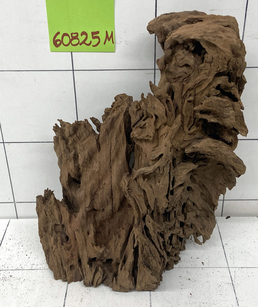 60825M - Mangrovenwurzel Holz