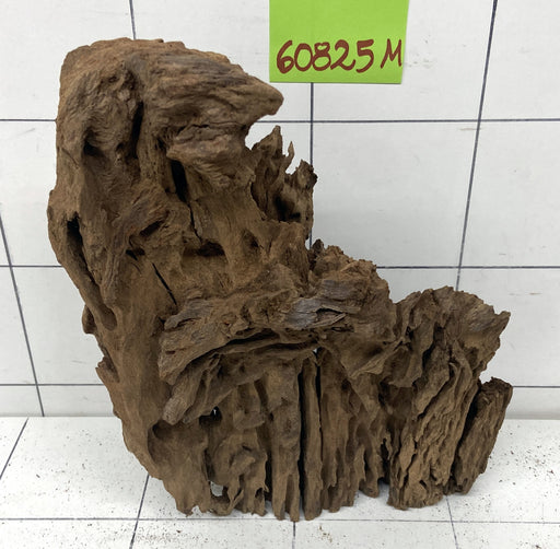 60825M - Mangrovenwurzel Holz