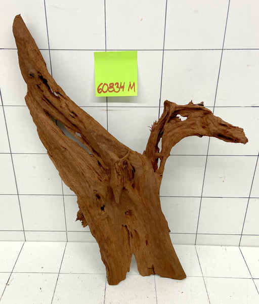 60834M - Mangrovenwurzel Holz