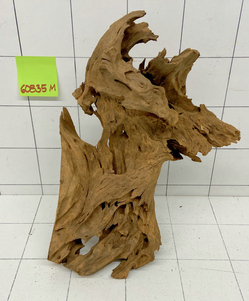 60835M - Mangrovenwurzel Holz