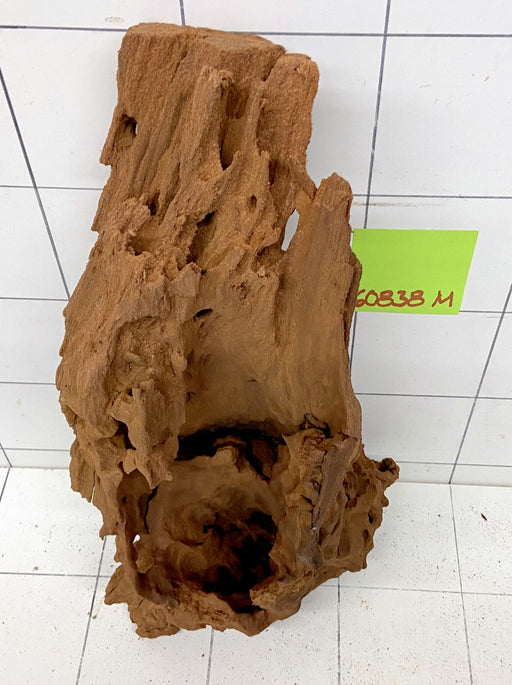 60838M - Mangrovenwurzel Holz