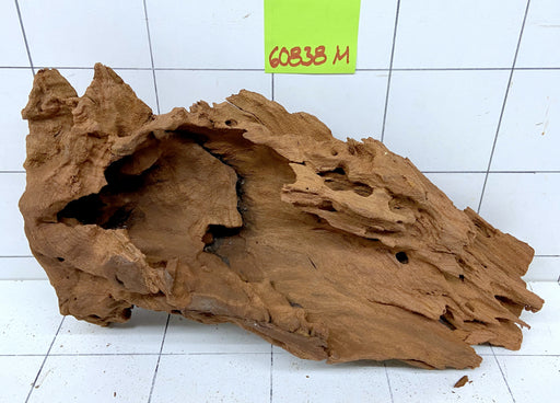 60838M - Mangrovenwurzel Holz