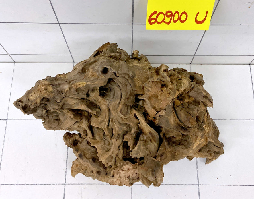 60900U - Ubatuba Wurzel Holz